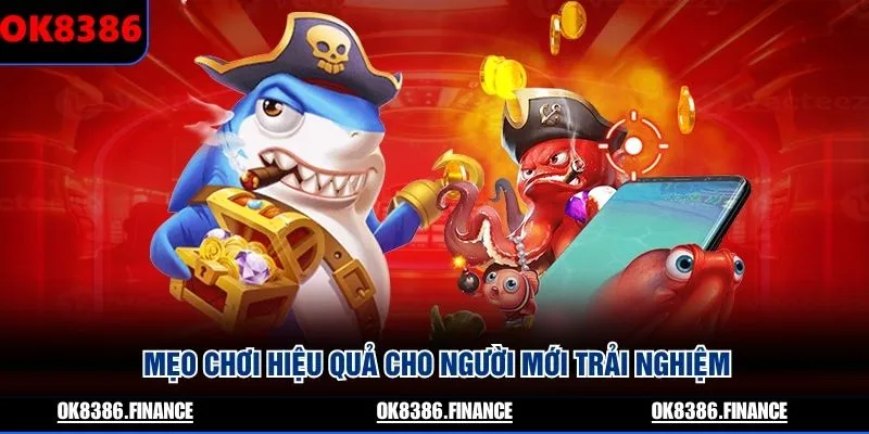 Mẹo chơi hiệu quả cho người mới trải nghiệm